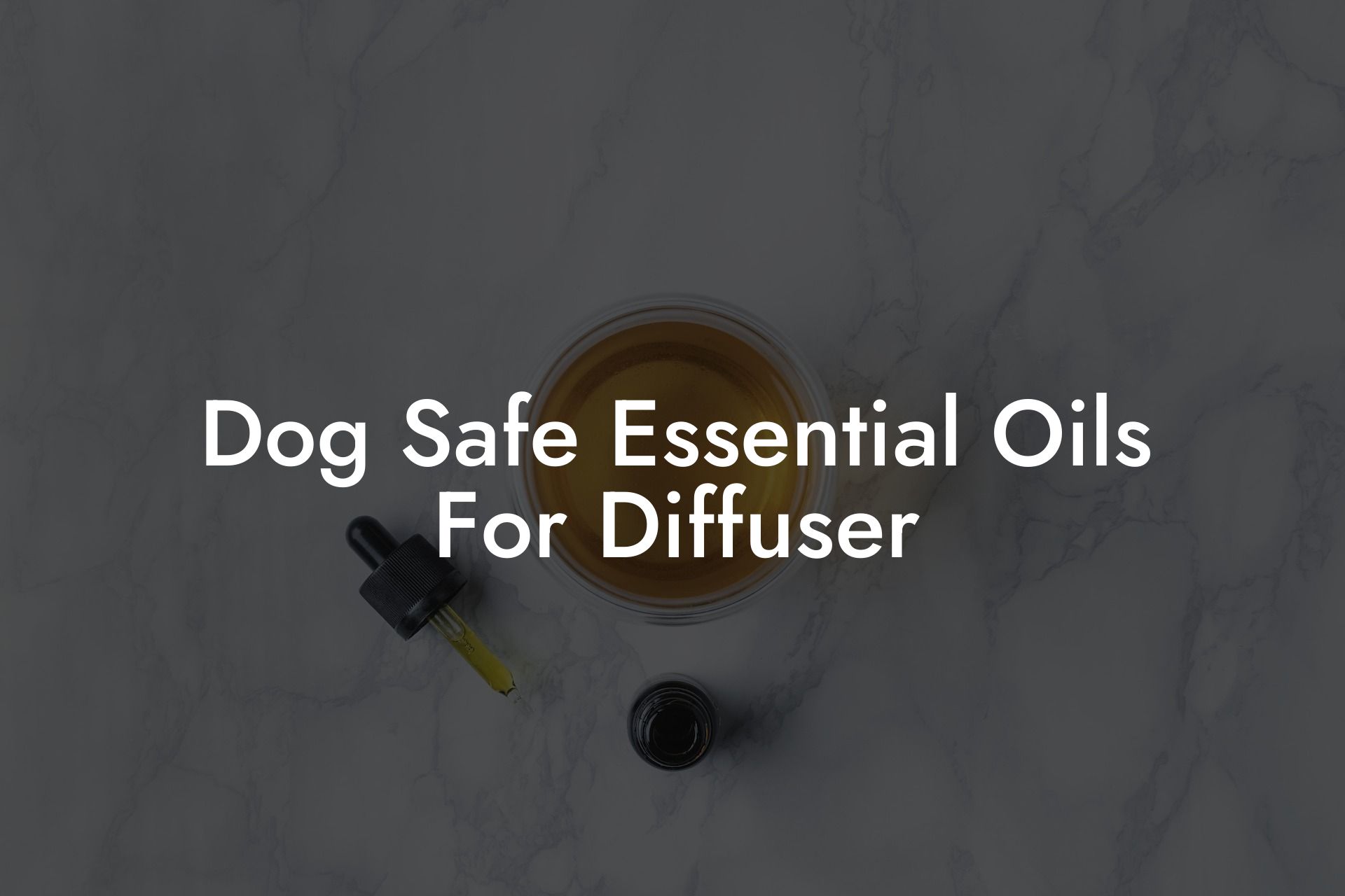 Dog Safe Essential Oils For Diffuser