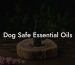 Dog Safe Essential Oils