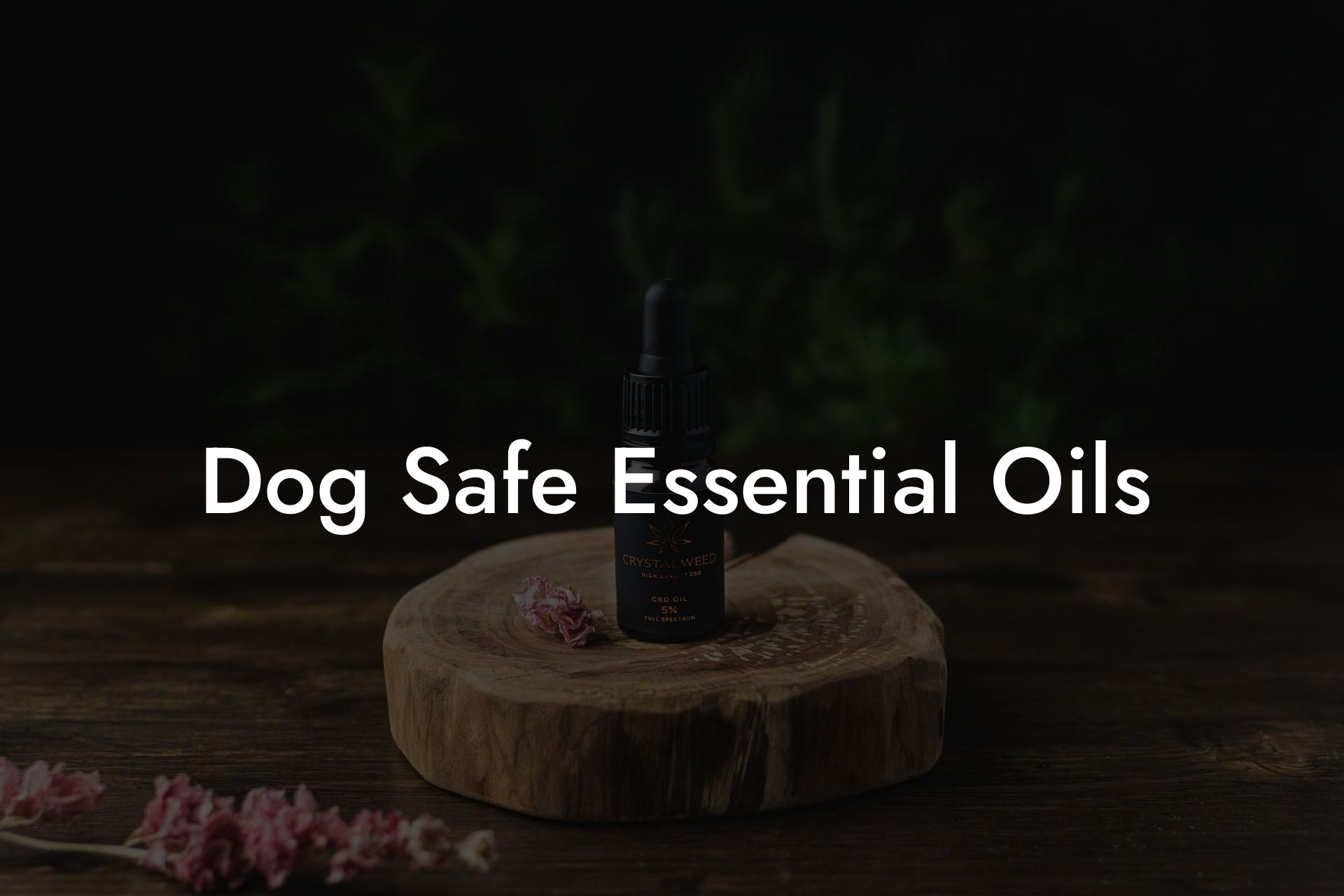Dog Safe Essential Oils