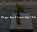 Dogs And Essential Oils