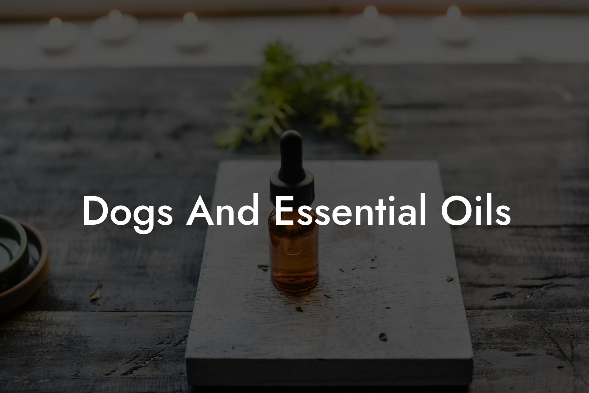 Dogs And Essential Oils