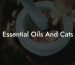 Essential Oils And Cats