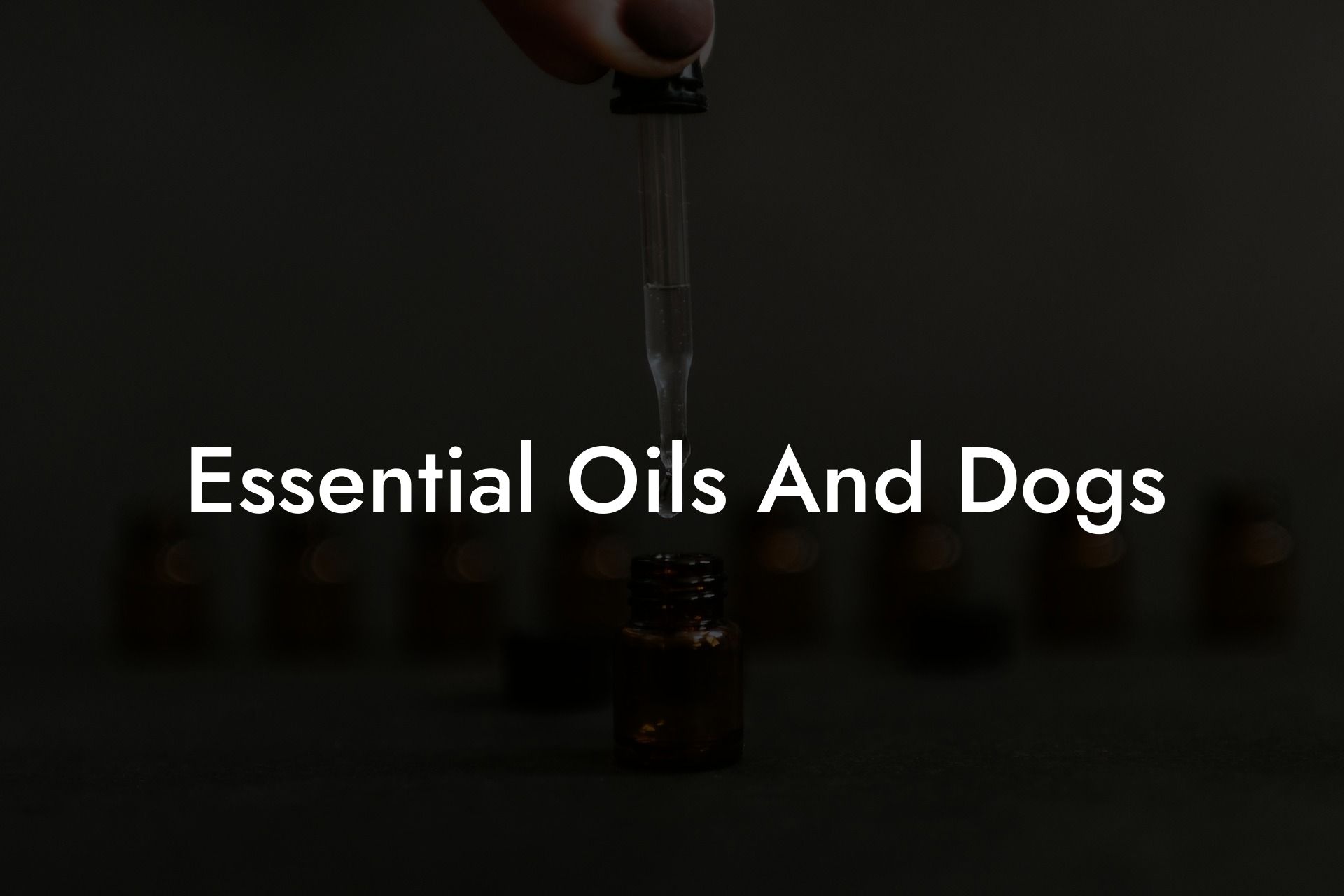 Essential Oils And Dogs