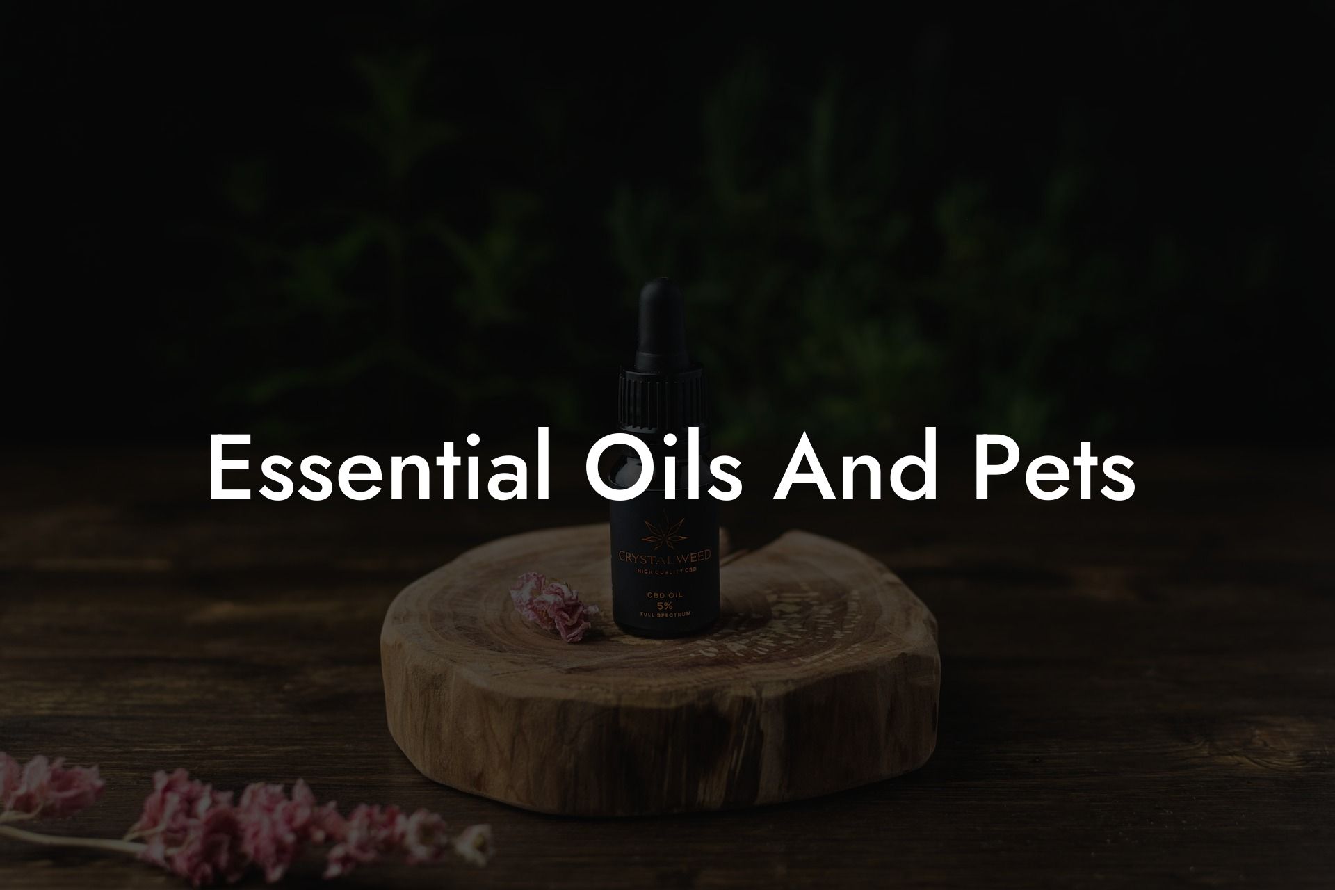 Essential Oils And Pets