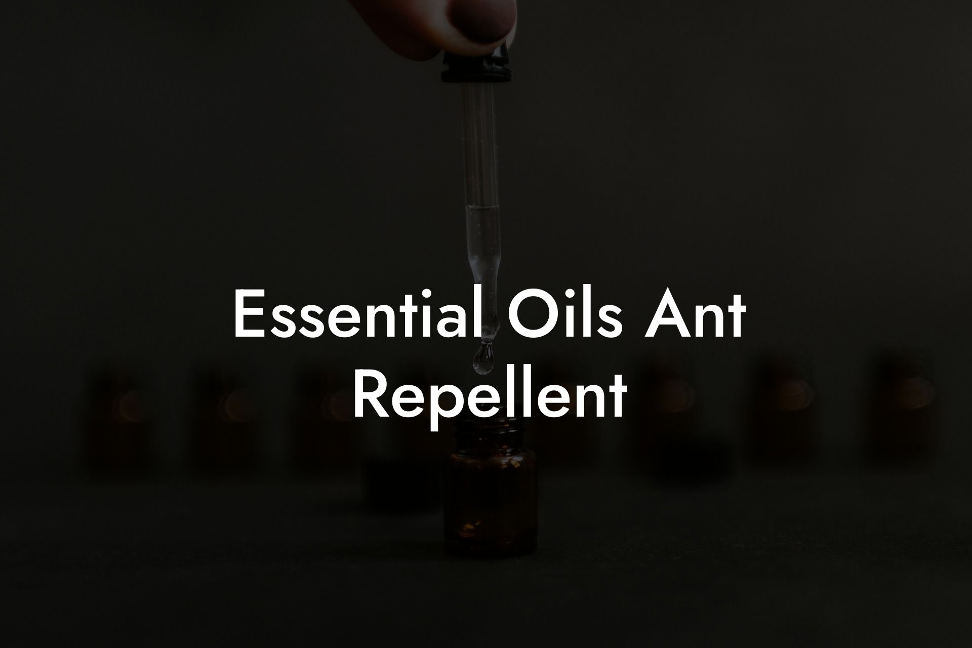 Essential Oils Ant Repellent