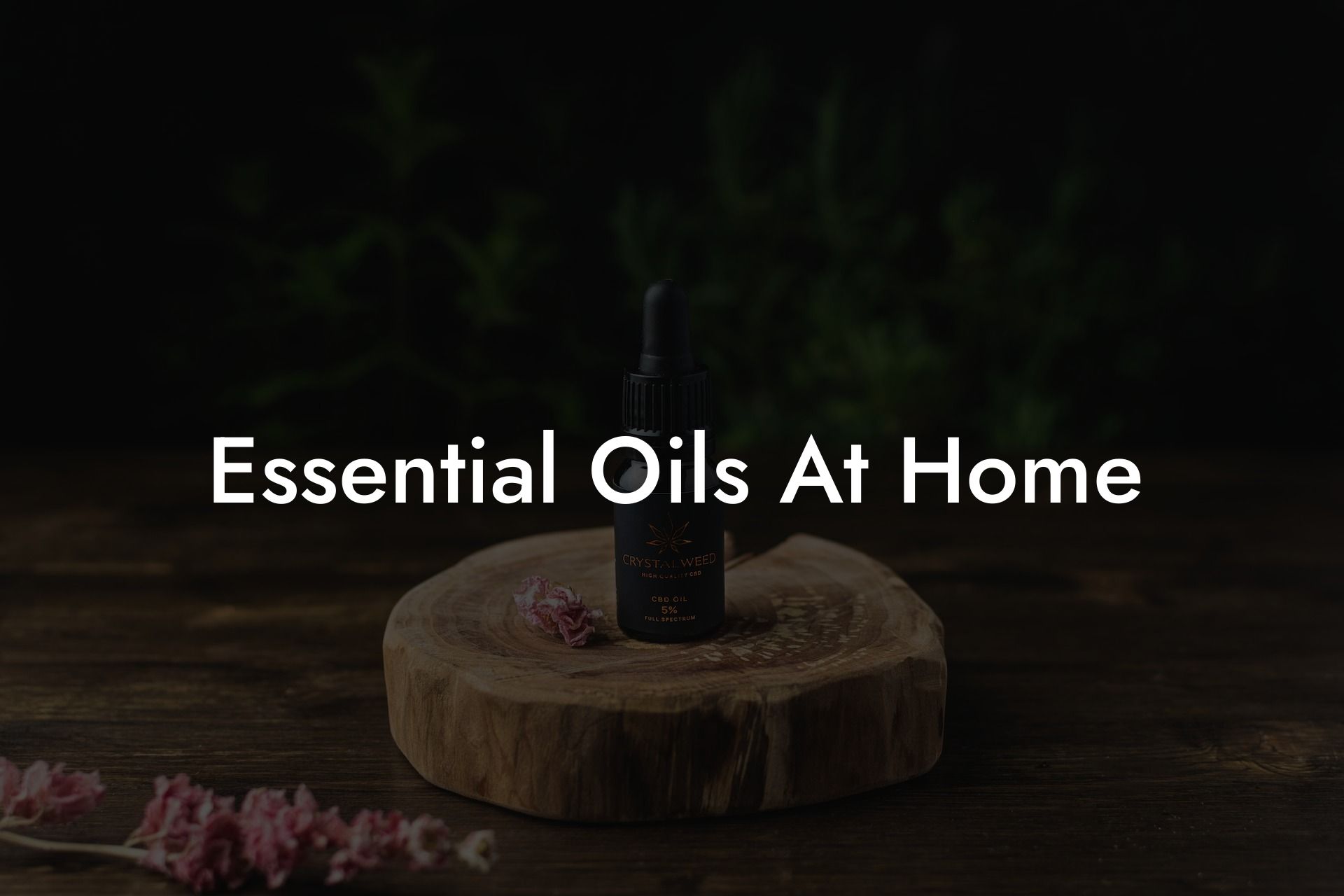 Essential Oils At Home