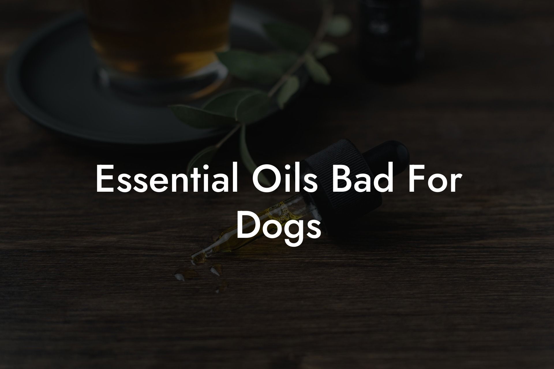 Essential Oils Bad For Dogs