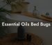 Essential Oils Bed Bugs