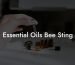 Essential Oils Bee Sting