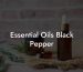 Essential Oils Black Pepper