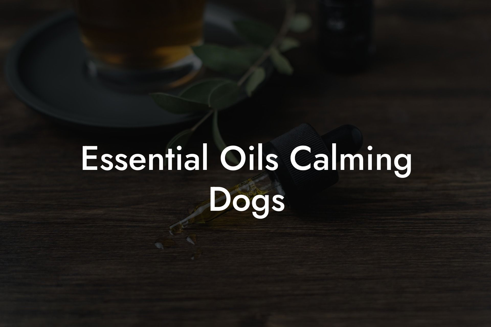 Essential Oils Calming Dogs