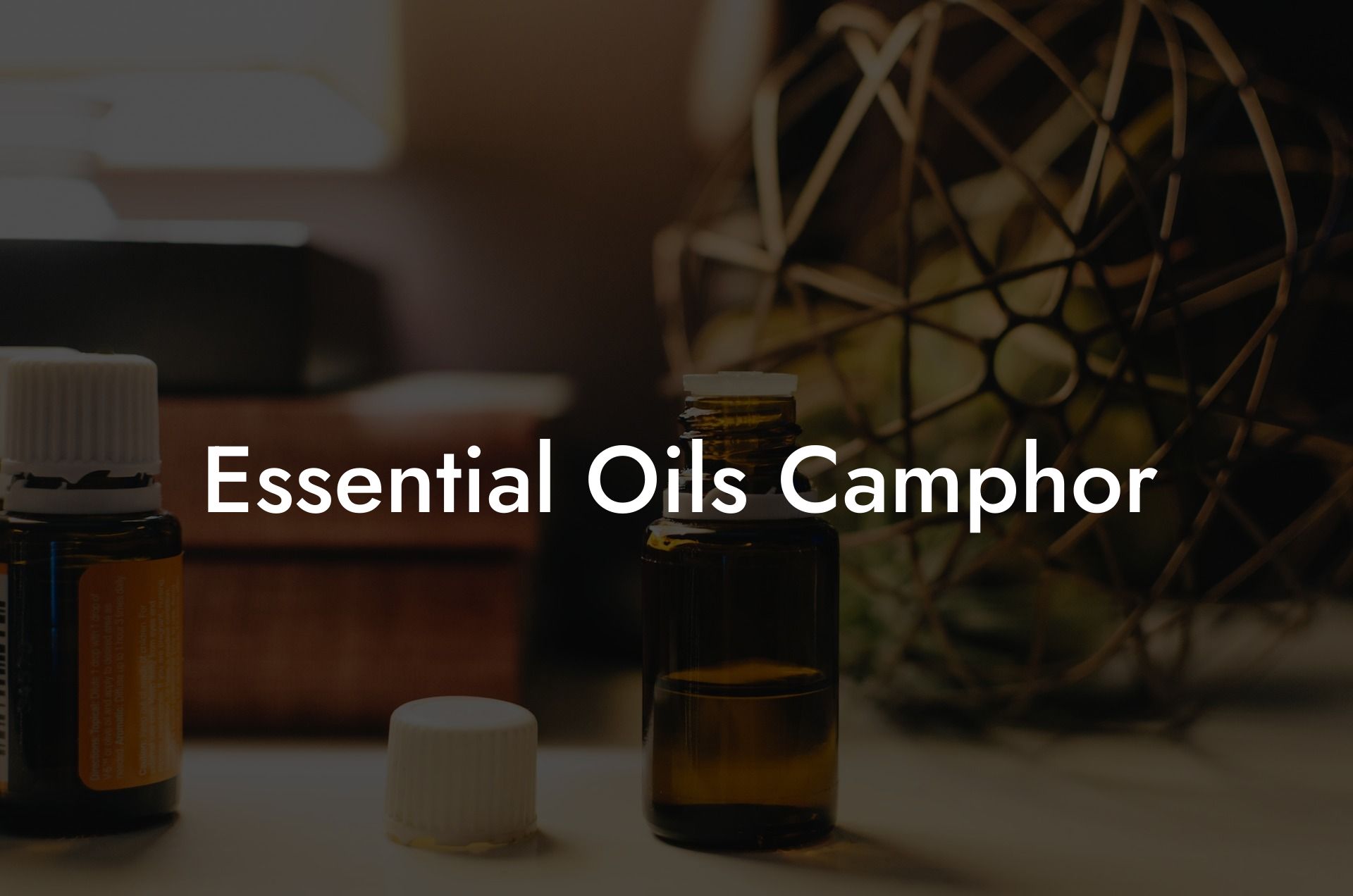 Essential Oils Camphor