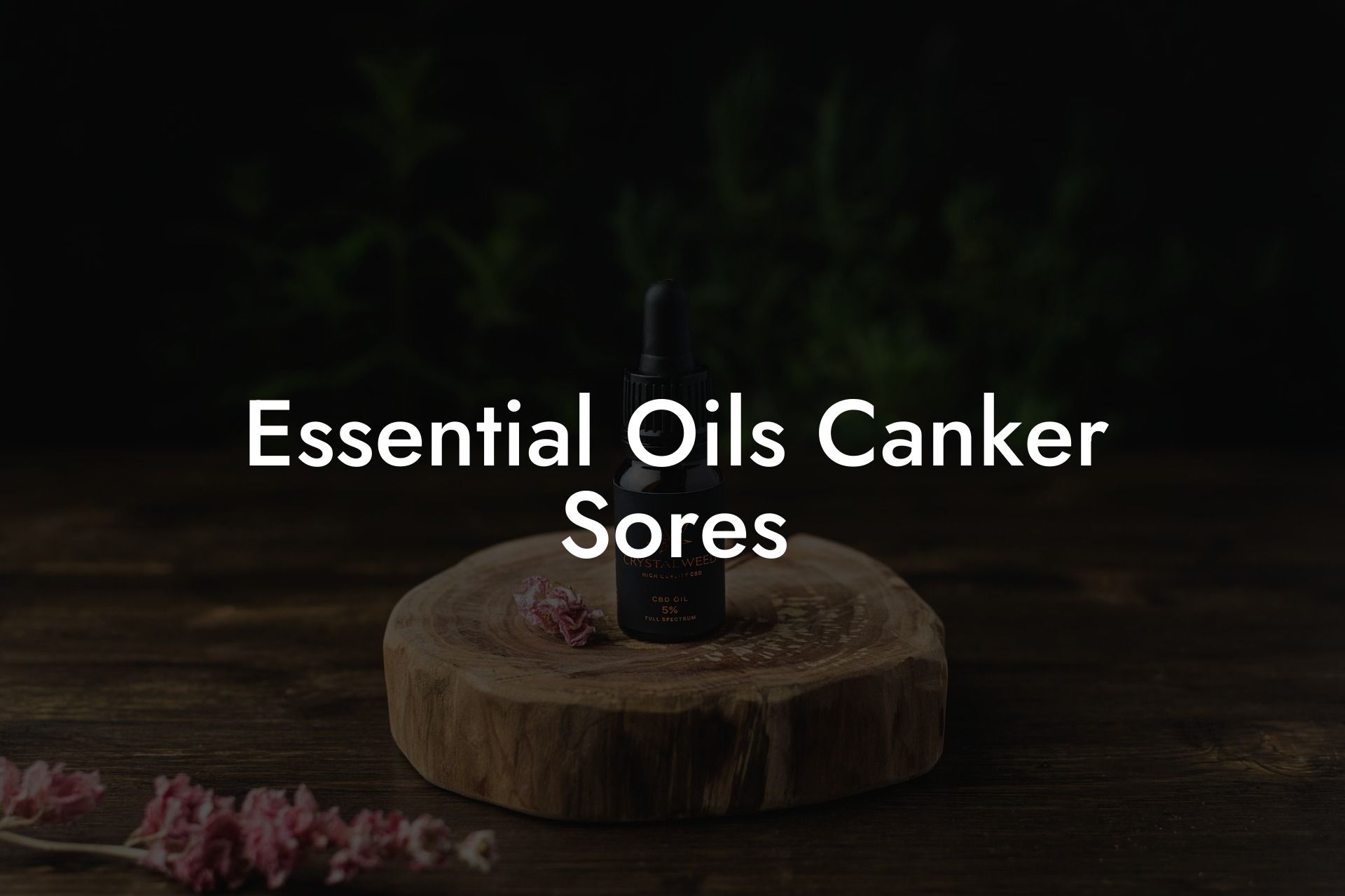 Essential Oils Canker Sores