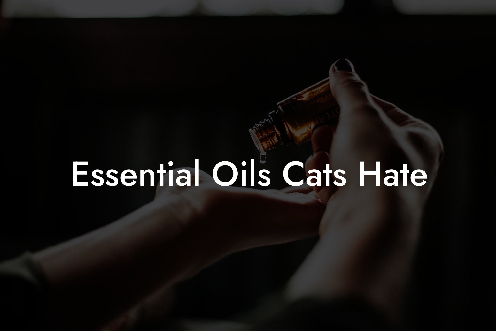 Essential Oils Cats Hate