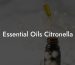 Essential Oils Citronella