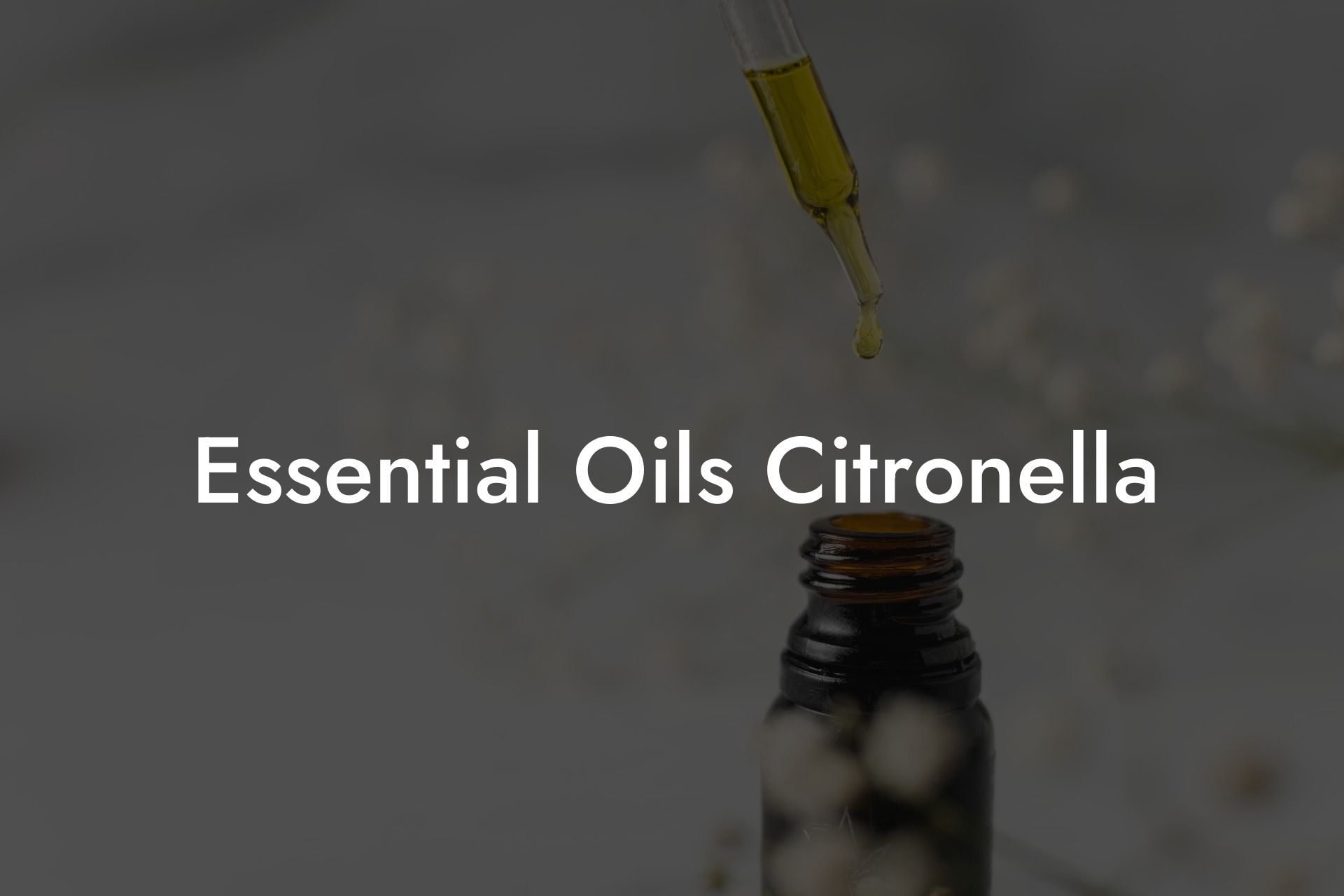 Essential Oils Citronella