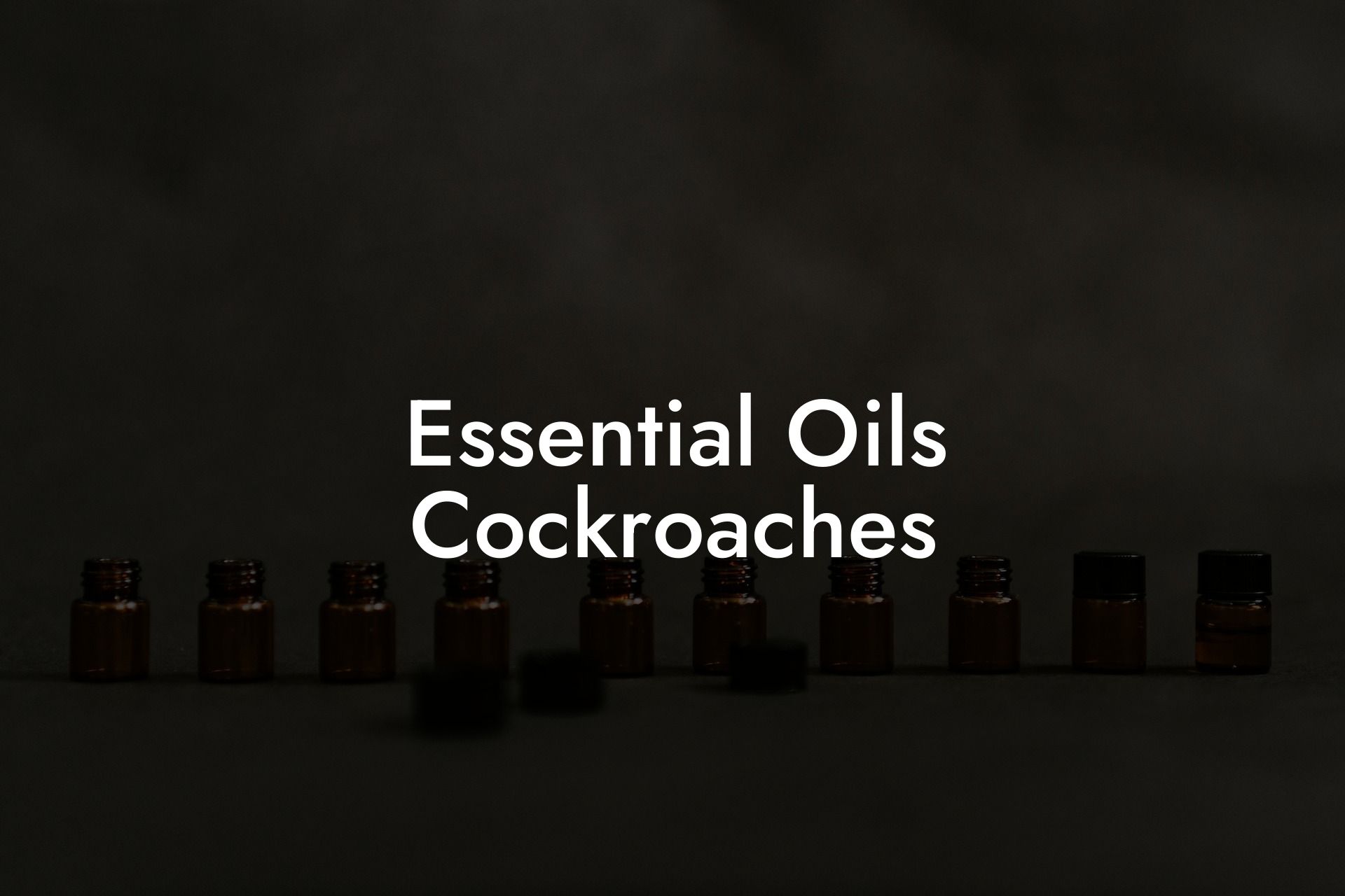 Essential Oils Cockroaches