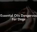 Essential Oils Dangerous For Dogs