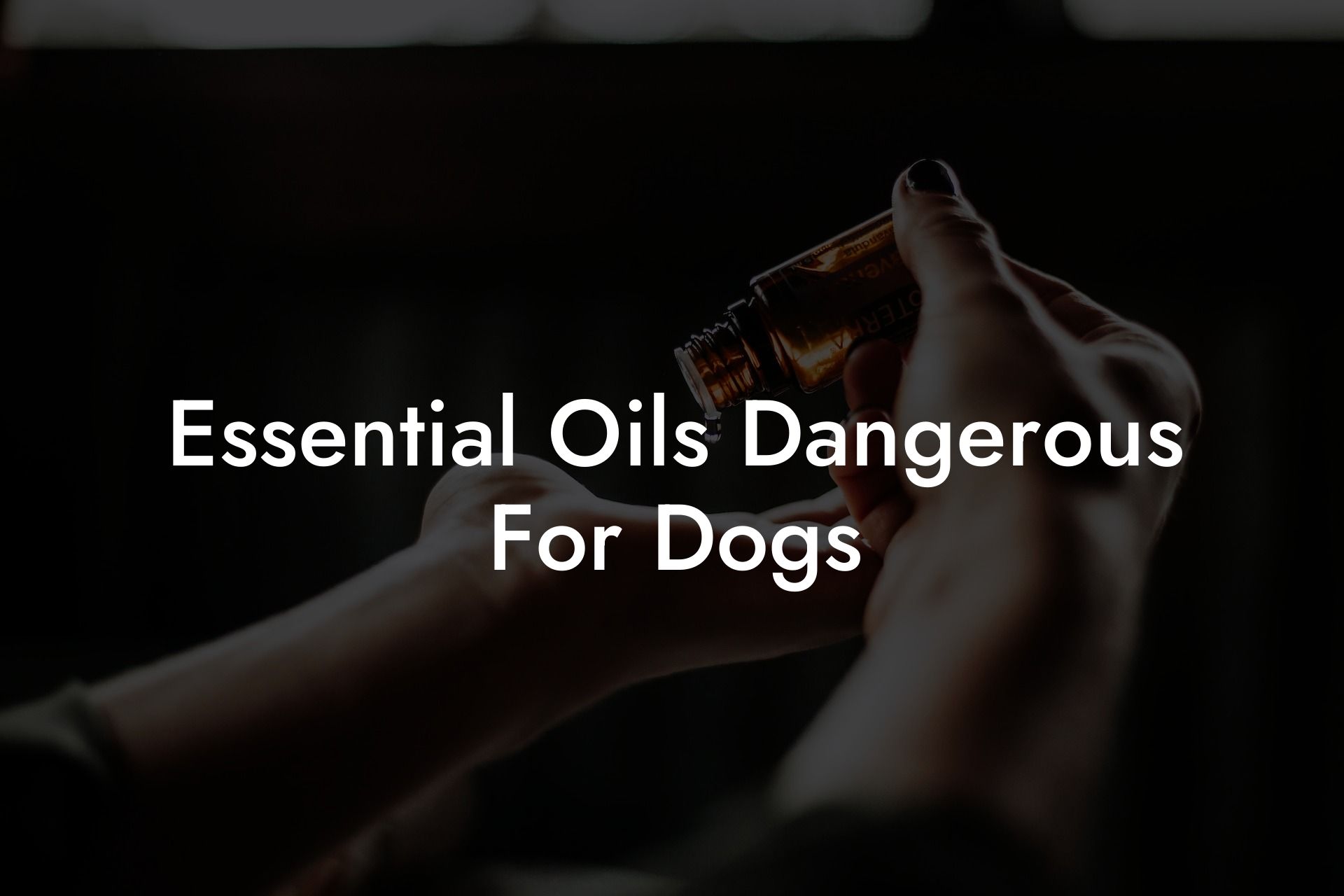 Essential Oils Dangerous For Dogs