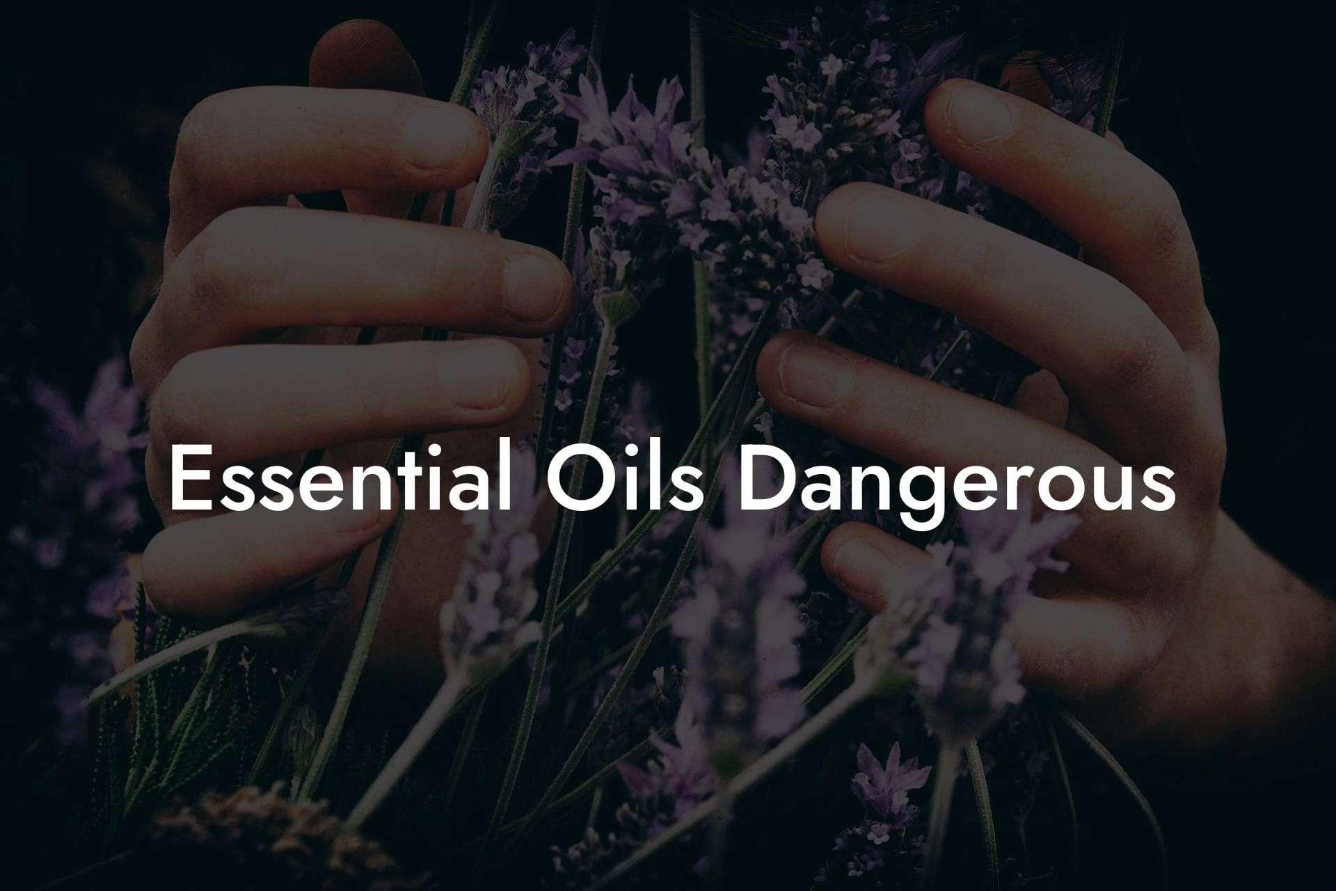 Essential Oils Dangerous
