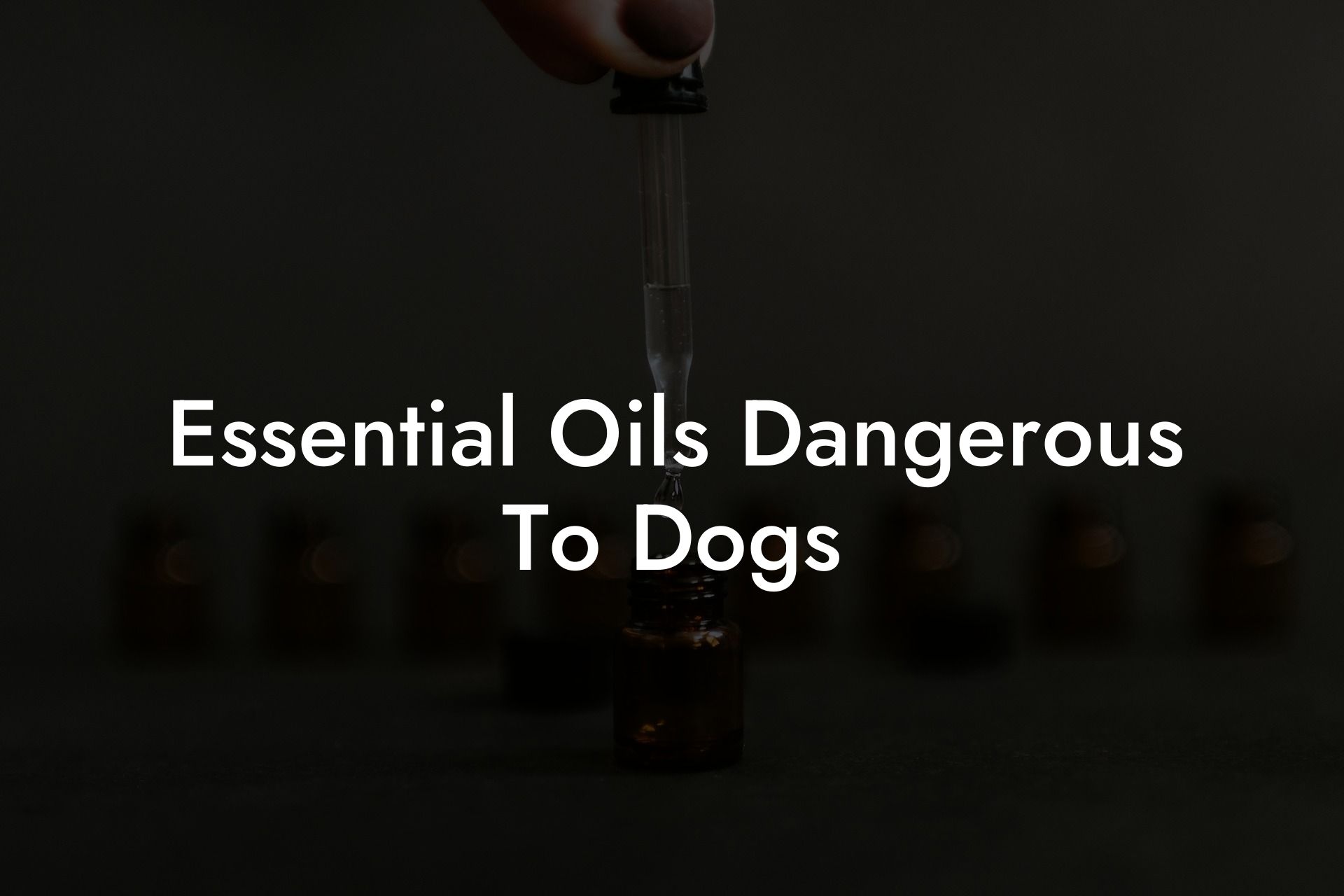 Essential Oils Dangerous To Dogs