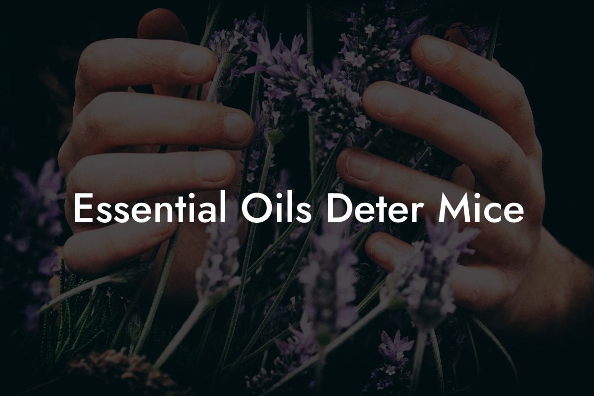 Essential Oils Deter Mice