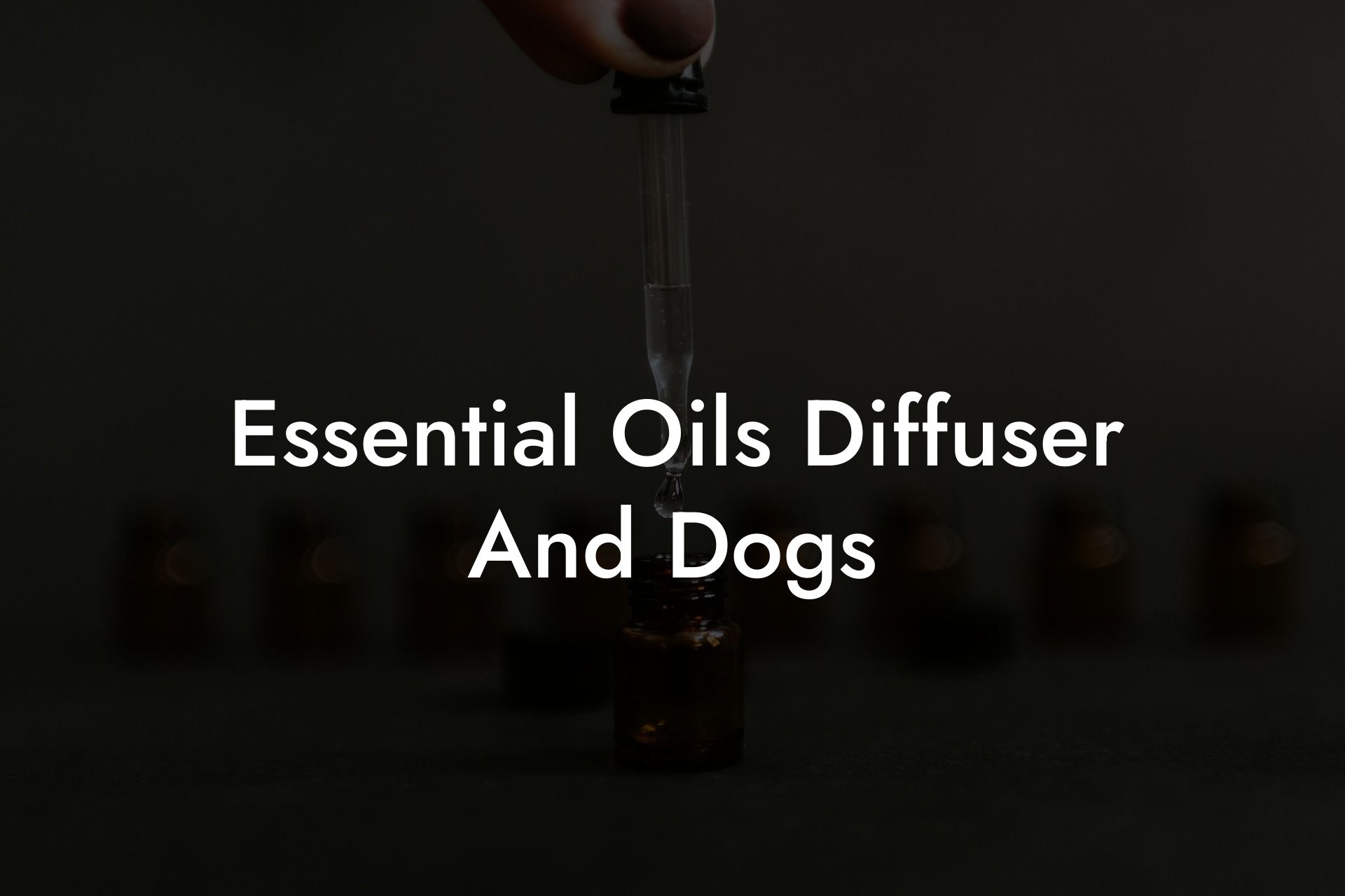 Essential Oils Diffuser And Dogs
