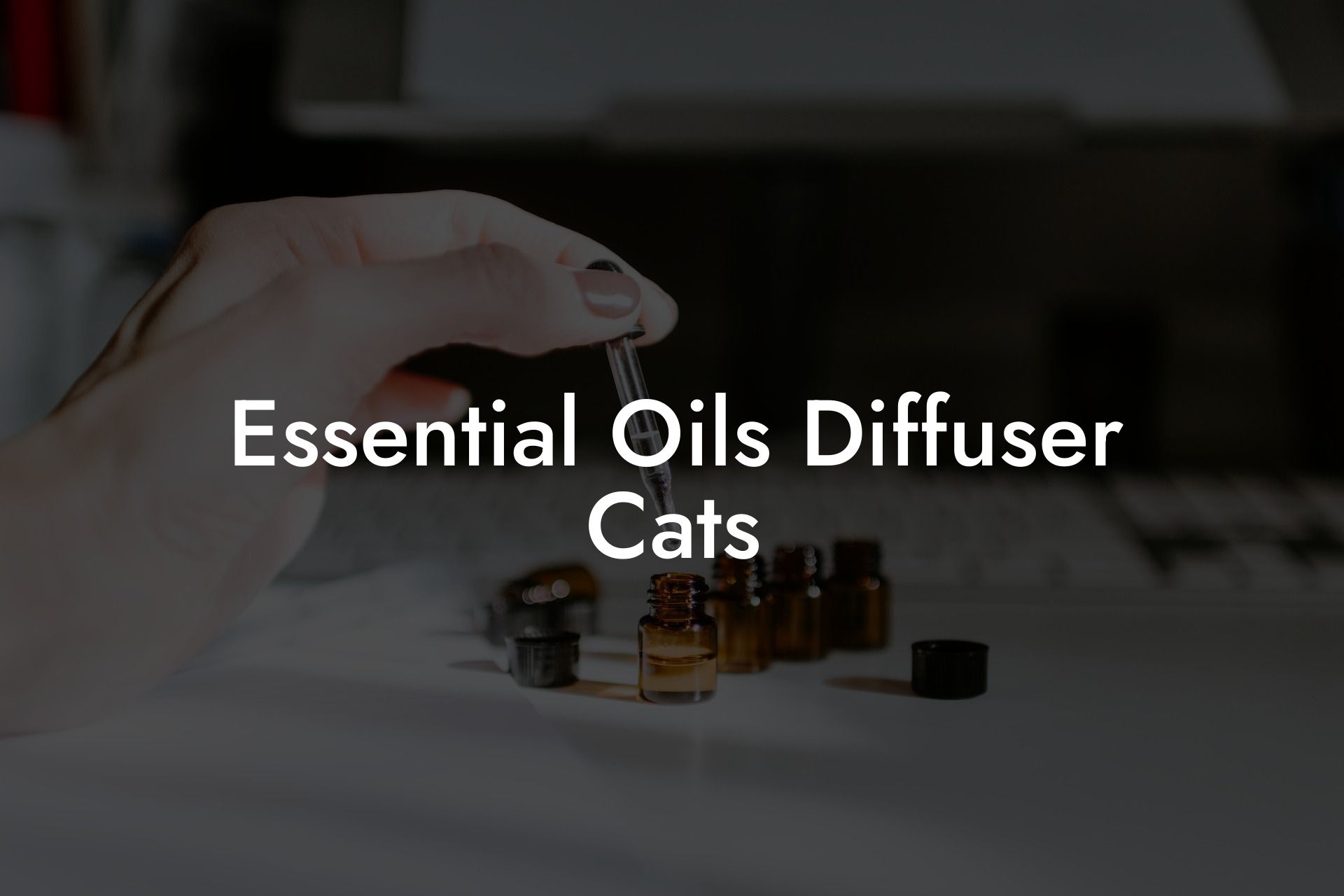 Essential Oils Diffuser Cats