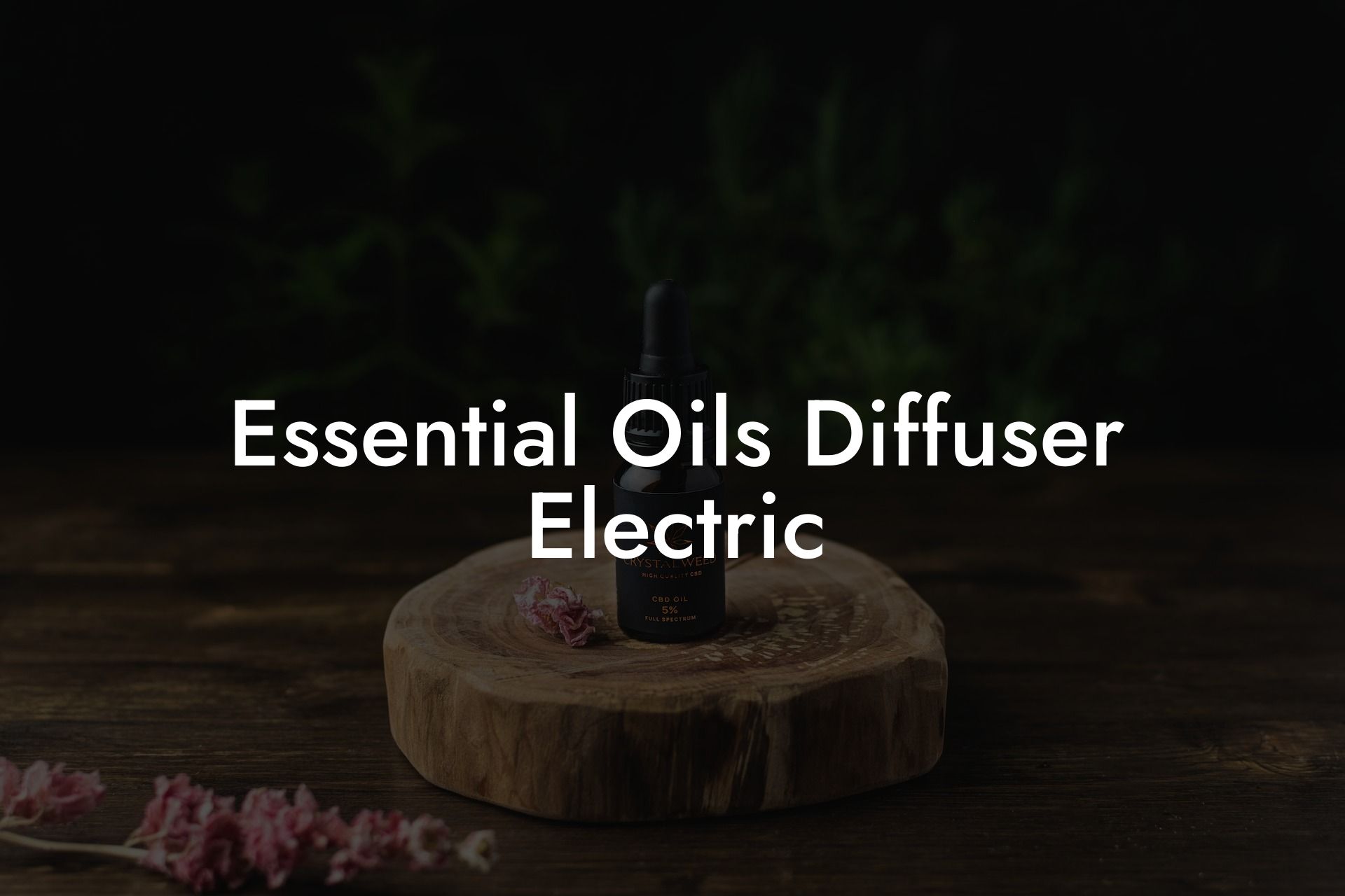 Essential Oils Diffuser Electric