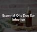 Essential Oils Dog Ear Infection