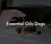 Essential Oils Dogs