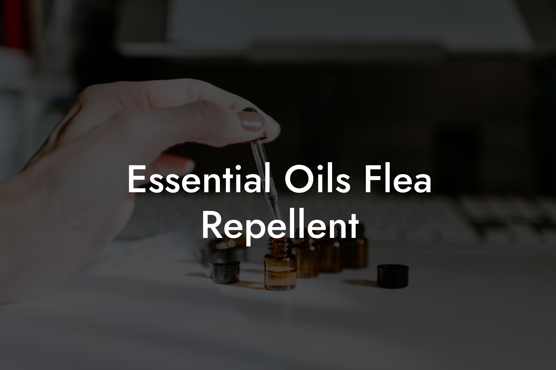 Essential Oils Flea Repellent