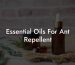 Essential Oils For Ant Repellent