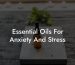 Essential Oils For Anxiety And Stress