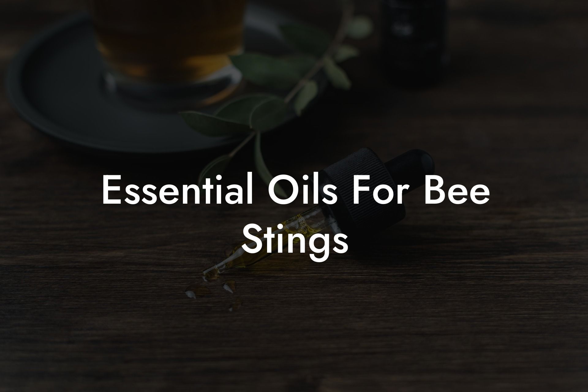 Essential Oils For Bee Stings