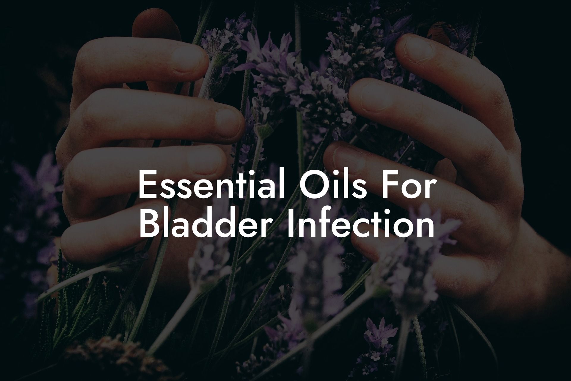 Essential Oils For Bladder Infection