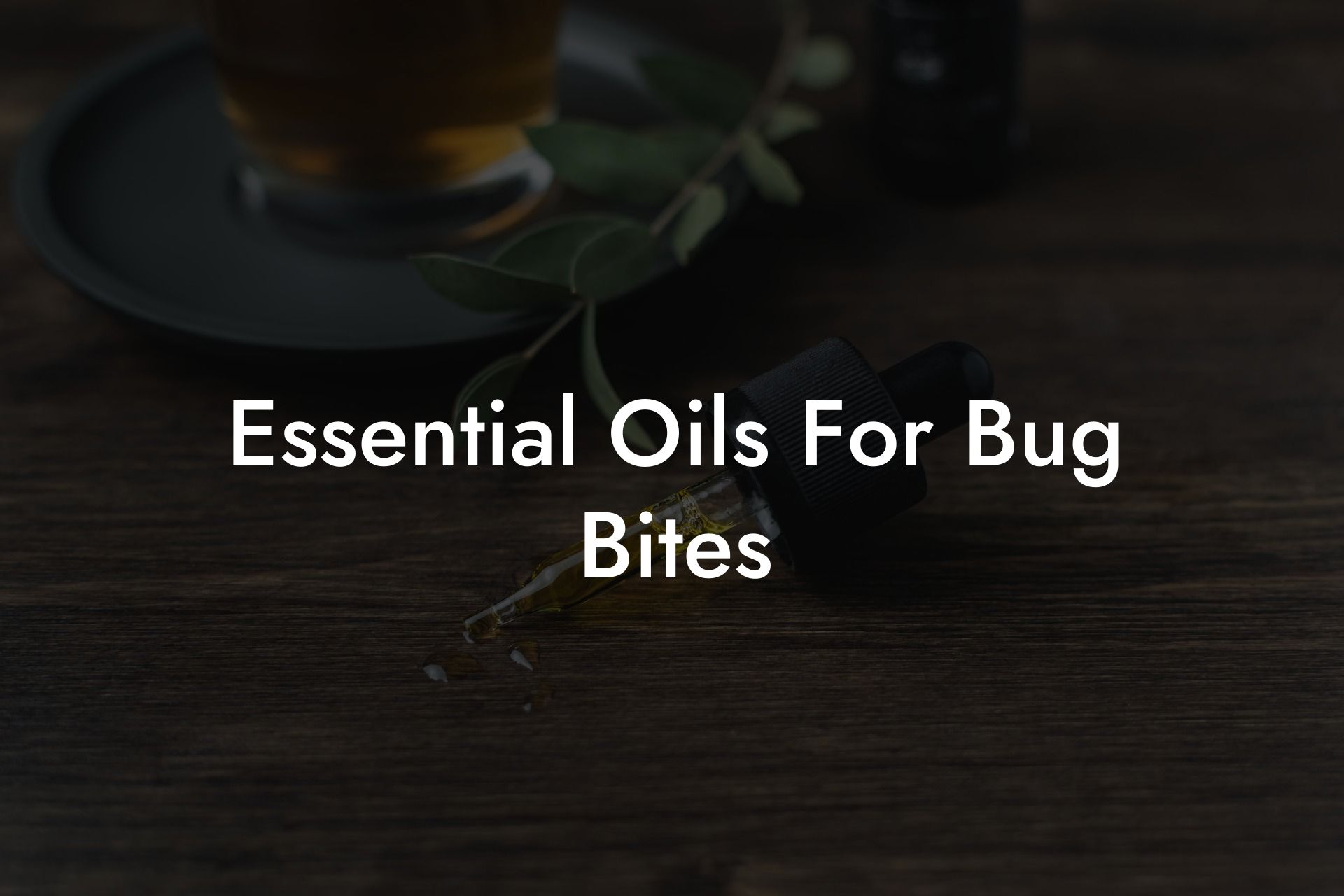 Essential Oils For Bug Bites