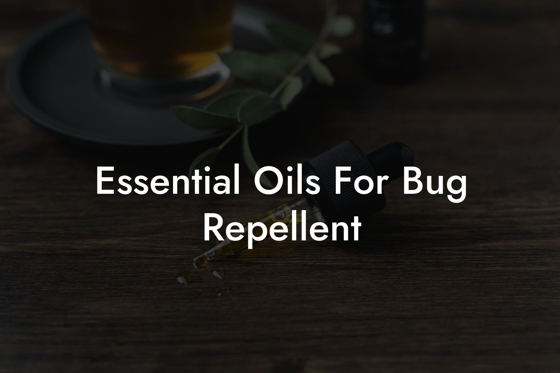 Essential Oils For Bug Repellent