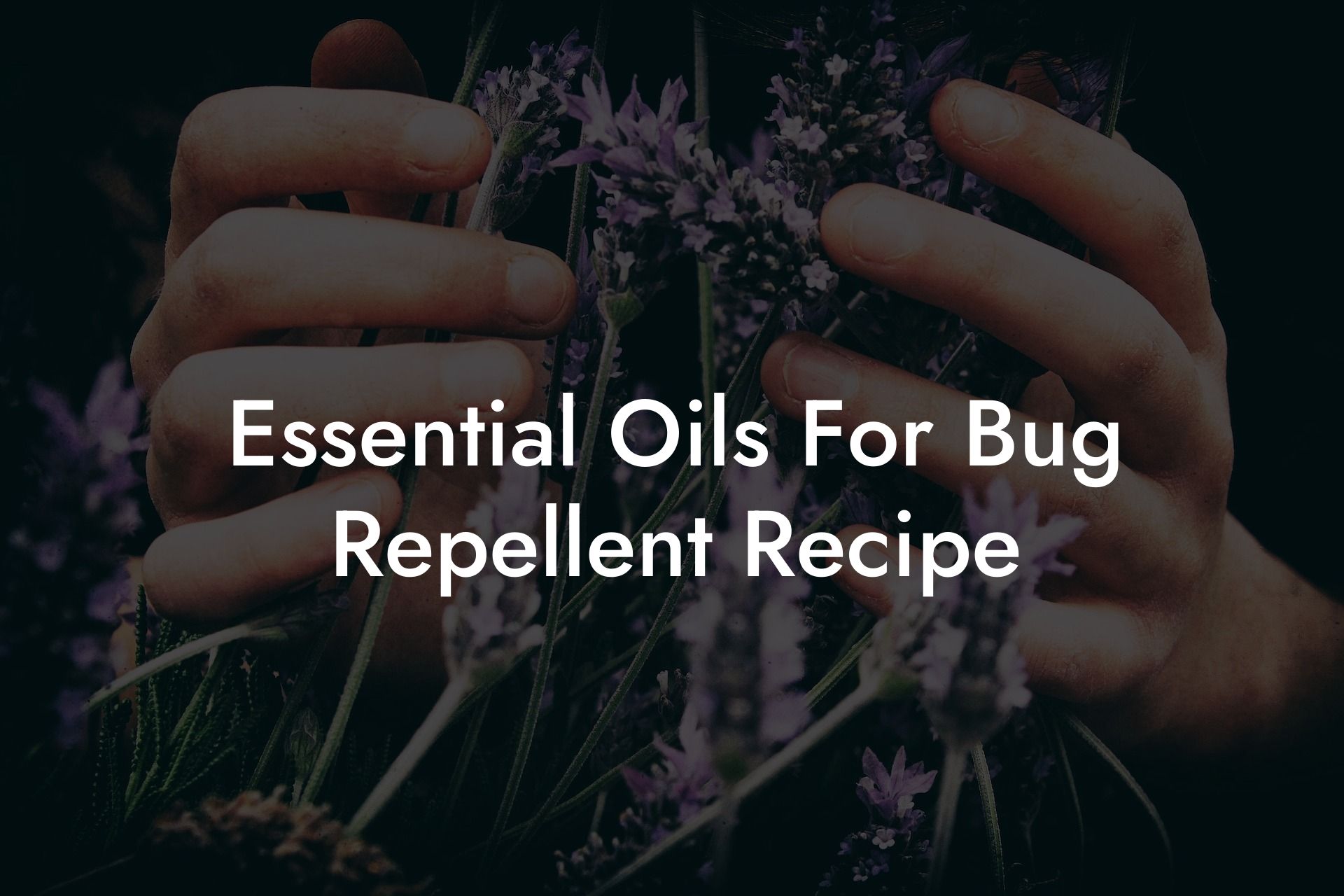 Essential Oils For Bug Repellent Recipe