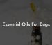 Essential Oils For Bugs