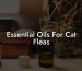 Essential Oils For Cat Fleas