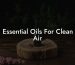 Essential Oils For Clean Air