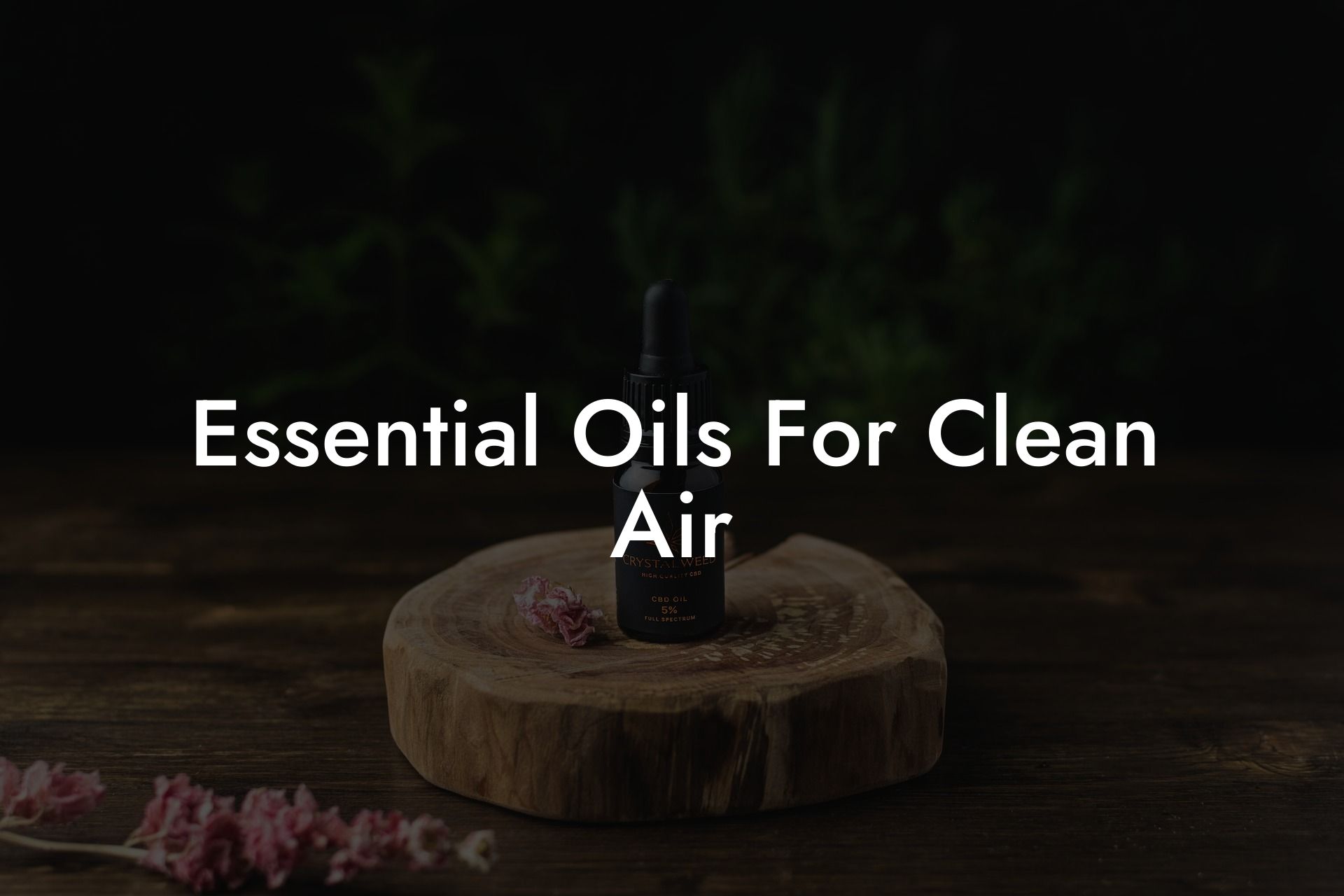 Essential Oils For Clean Air