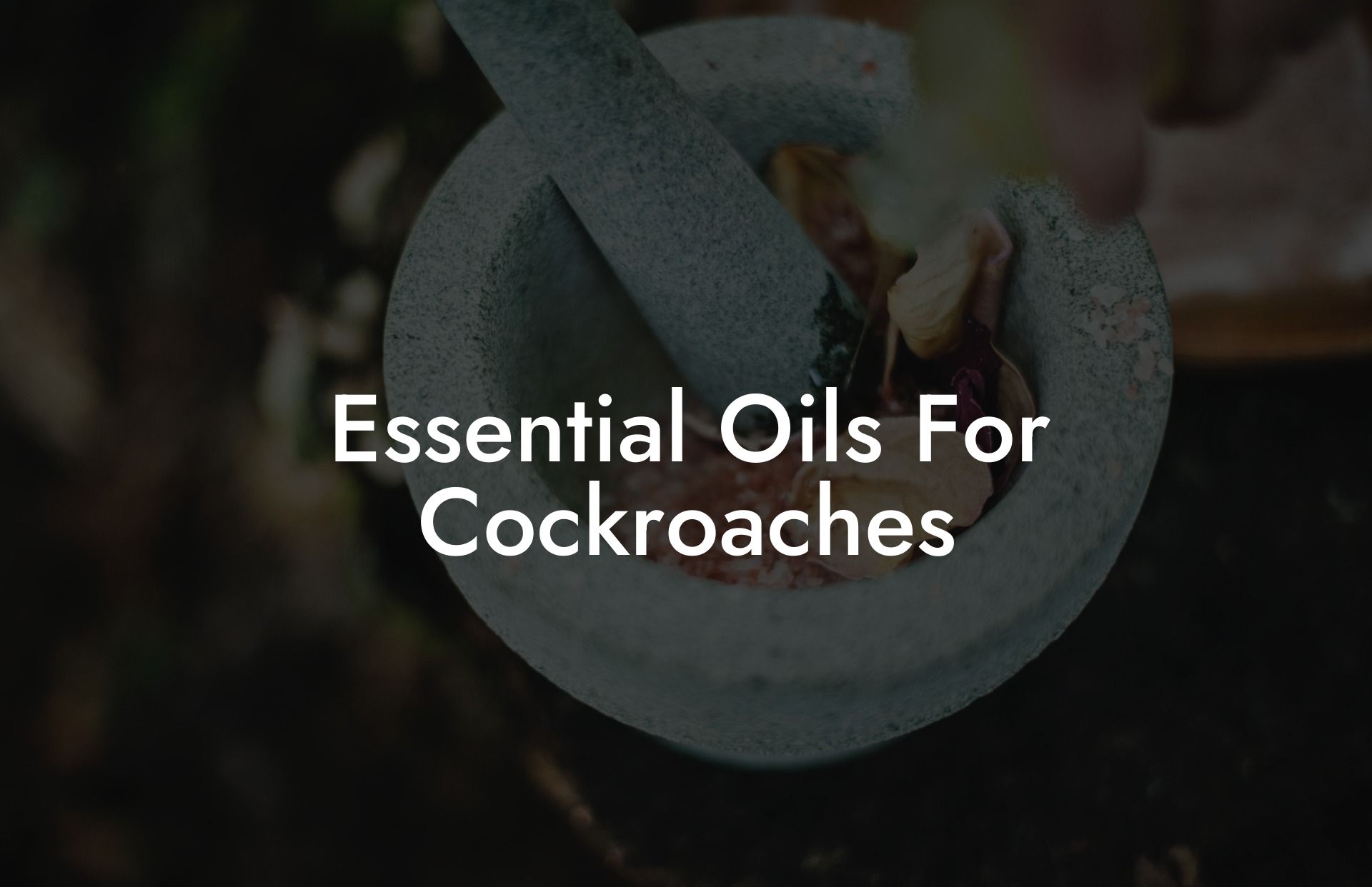 Essential Oils For Cockroaches