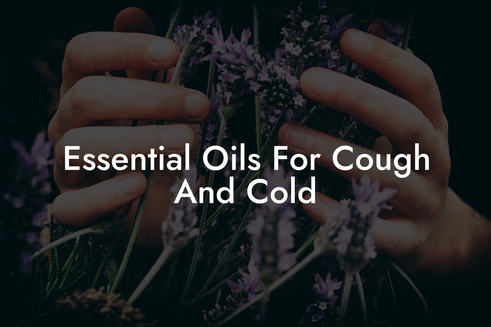 Essential Oils For Cough And Cold