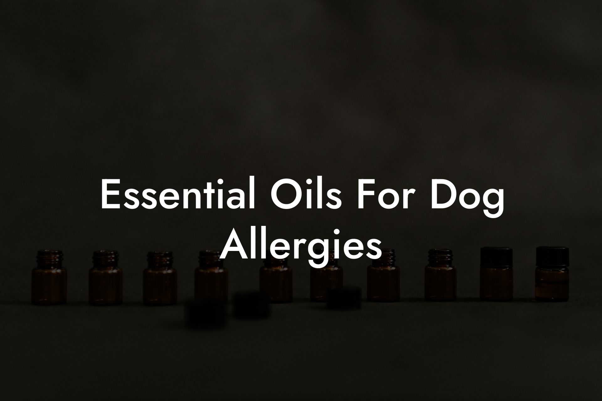 Essential Oils For Dog Allergies