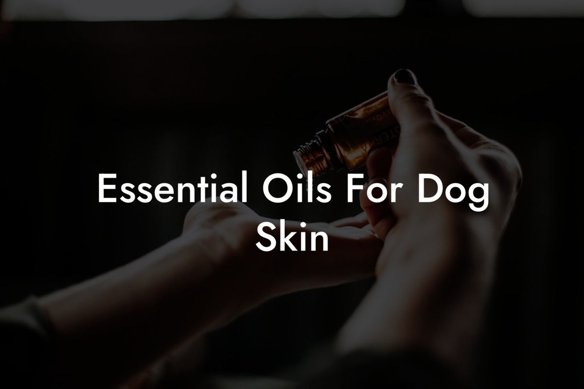 Essential Oils For Dog Skin