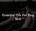 Essential Oils For Dog Skin