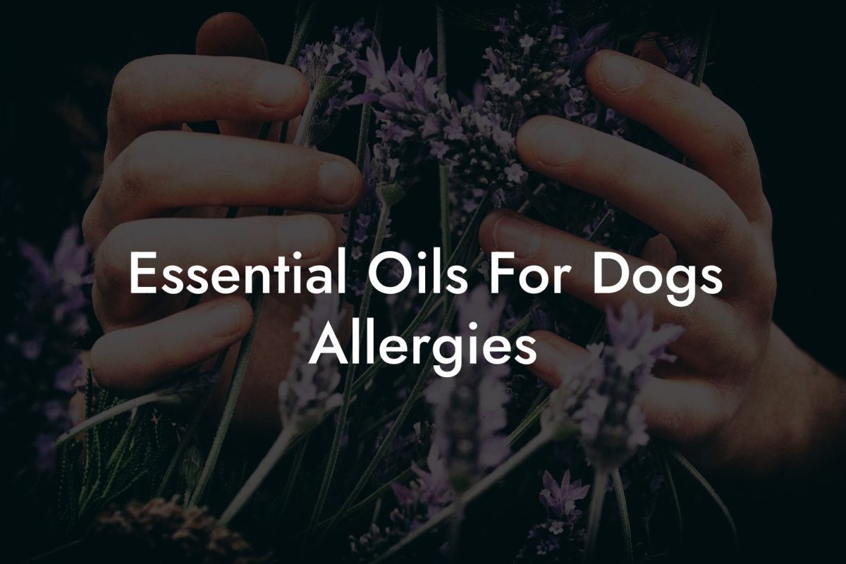 Essential Oils For Dogs Allergies