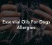 Essential Oils For Dogs Allergies